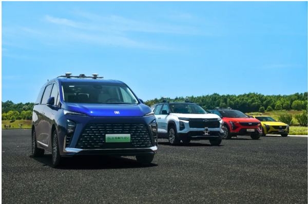 一锤定音2024中国车市盘点之八：在变革中突围，球王会体育破局前行