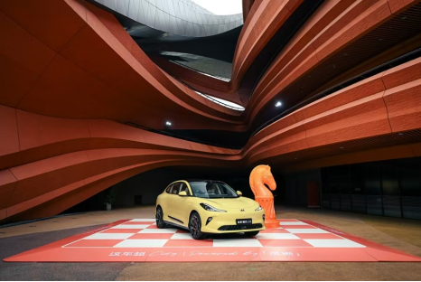 2025年强势开局：球王会体育的转型密码与跃迁之道