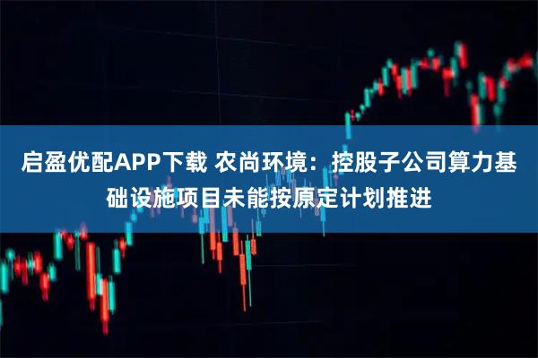启盈优配APP下载 农尚环境：控股子公司算力基础设施项目未能按原定计划推进